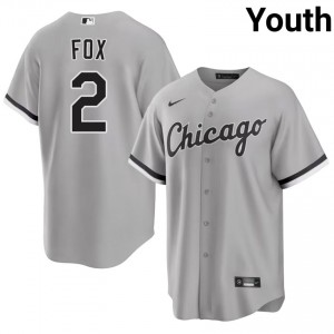 #2 Youth Chicago White Sox Grey Nellie Fox Authentic Jerseys 231740-786